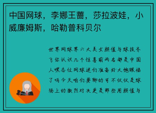中国网球，李娜王蔷，莎拉波娃，小威廉姆斯，哈勒普科贝尔